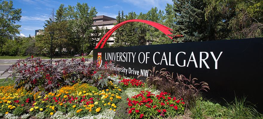 The beautiful, sunny campus of the University of Calgary.