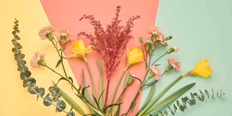A colourful summer bouquet against a pastel backdrop.