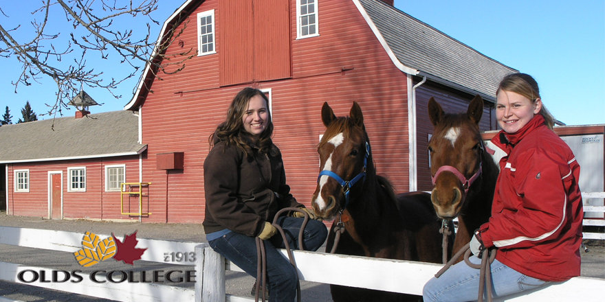 Students smile alongside horses outside a barn.