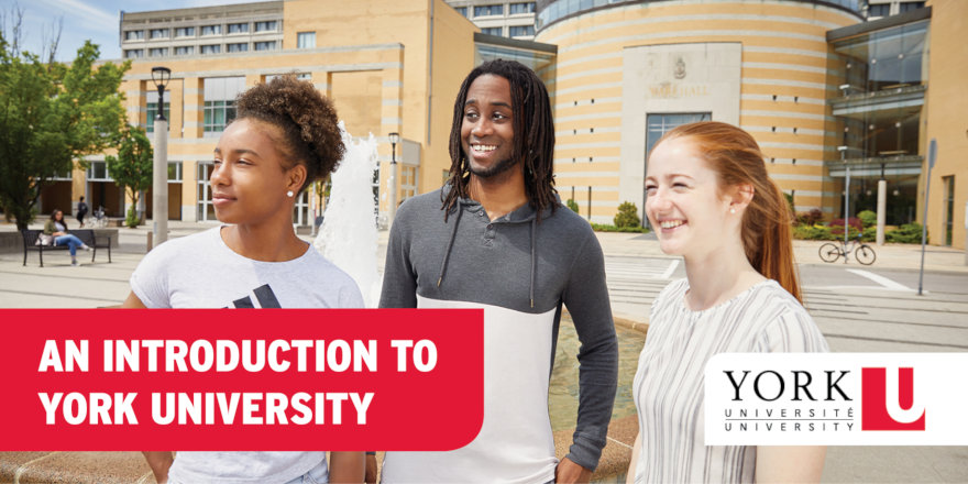 york university phd communication and culture