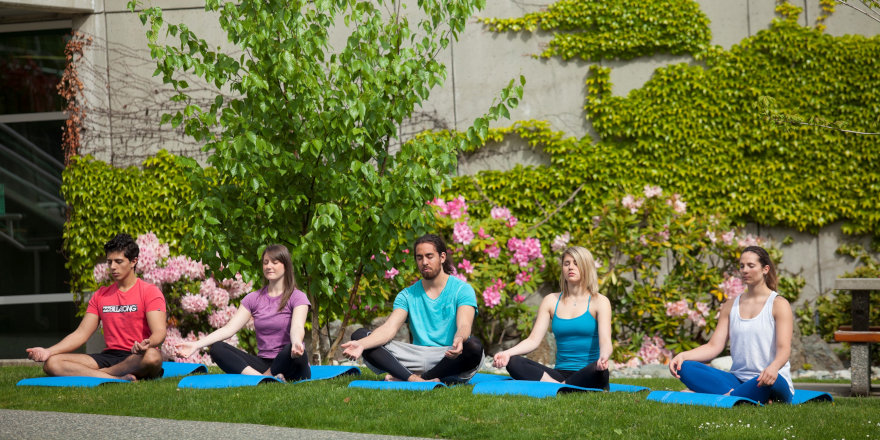 Students practice yoga on the sunny green lawn at Vancouver Island University.