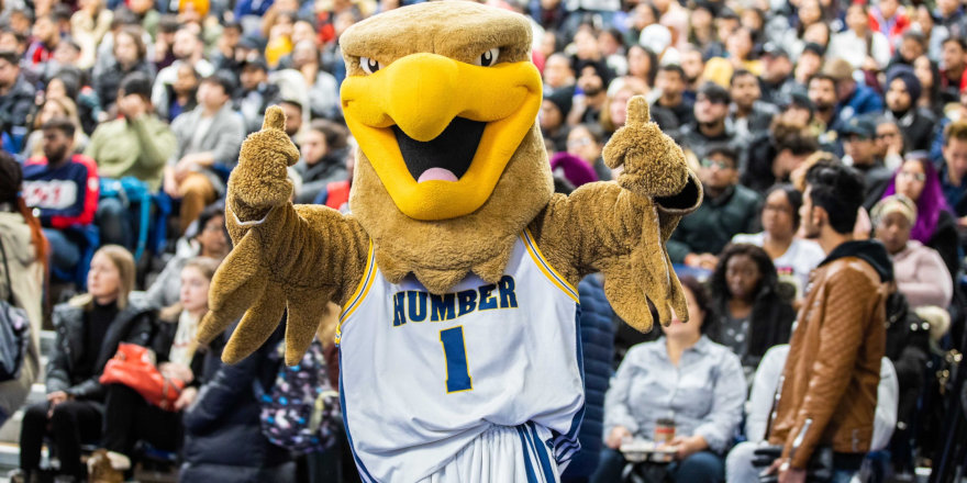 The Humber College mascot, the Humber Hawk, stirs up the crowd at a game.