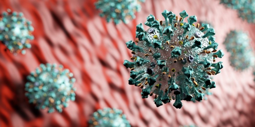 A 3D rendering of the novel coronavirus, COVID-19.
