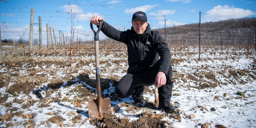 Niagara College Reaps the Harvest of Sustainable Wine Growing with New Certification