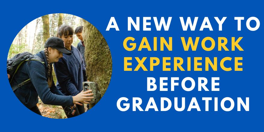  A New Way to Gain Work Experience Before Graduation 