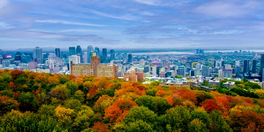 A Year in Montreal: North America's Best Student City