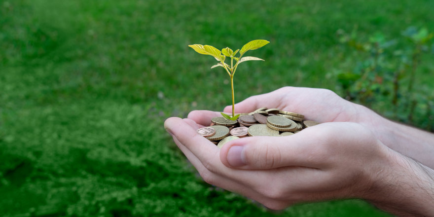  Mettez à jour vos aptitudes pour l’économie verte avec une bourse d’études de 5 000 $ à 10 000 $ de RBC Fondation 