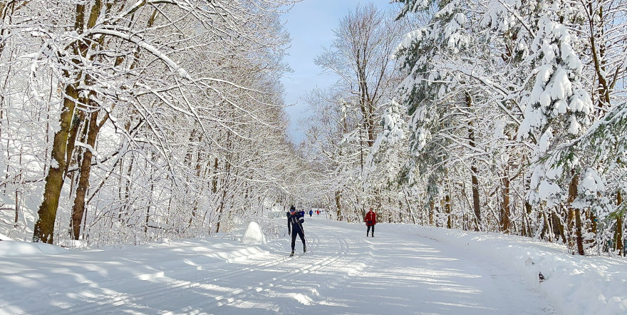 The Best Winter Activities in Lovely Montreal