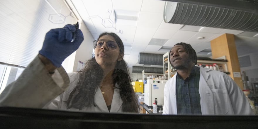 What is Pharmaceutical Chemistry? Exploring Research, Careers, and Graduate Study